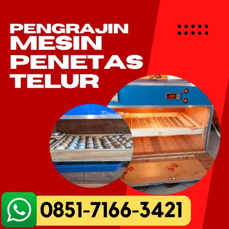  Mesin Penetas Telur Cemani Siap Kirim - Pasuruan 