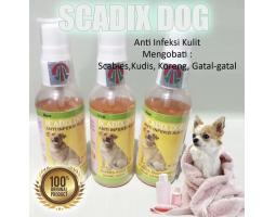 Obat Anti Infeksi Kulit Scadix Kutu Scadix Dog 60 ml untuk Hewan - Makassar