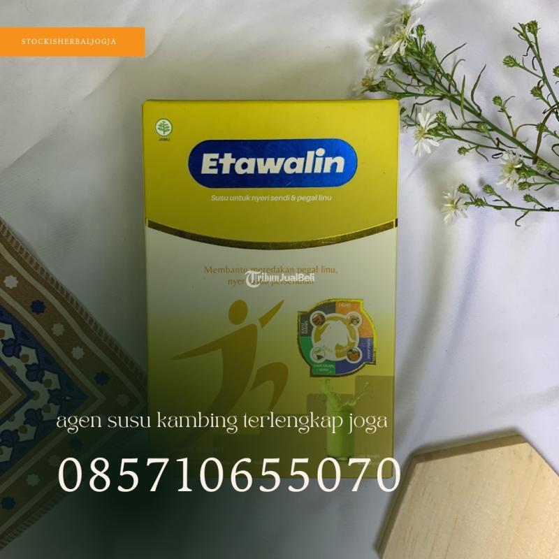 Agen Susu Kambing Terlengkap Jogja - Bantul
