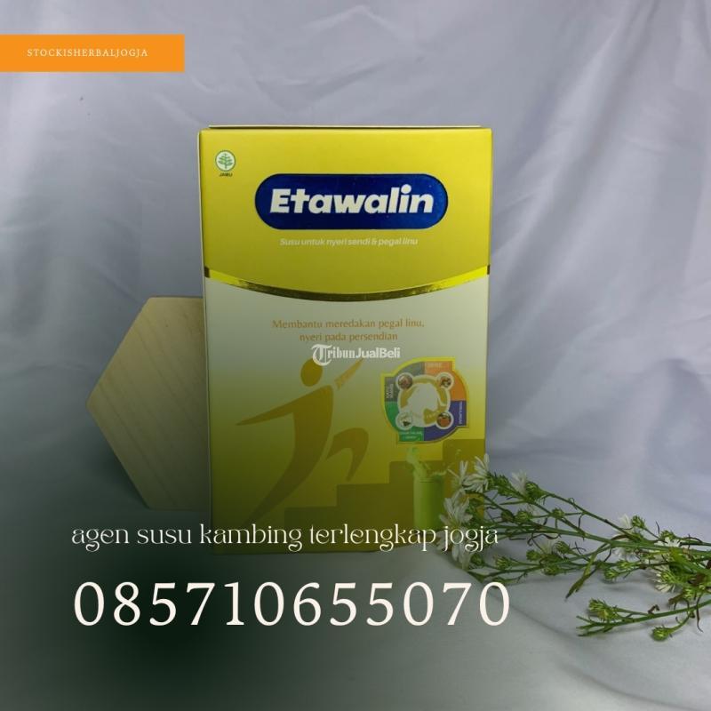 Agen Susu Kambing Terlengkap Jogja - Bantul