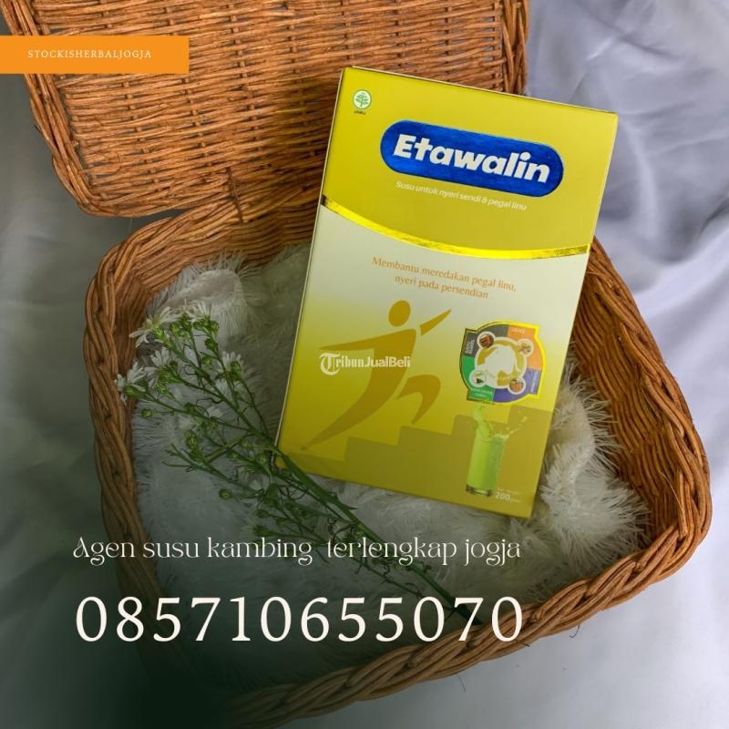 Agen Susu Kambing Terlengkap Jogja - Bantul