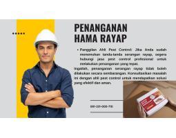 Jasa Basmi Rayap Suntik Rayap Pest Control - Semarang