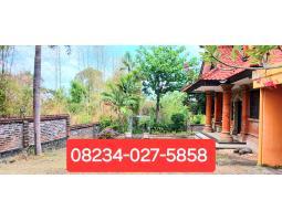 Dijual Tanah 8000m2 Bonus Bangunan Area Mumbul Nusa Dua Kuta Selatan Bali - Badung