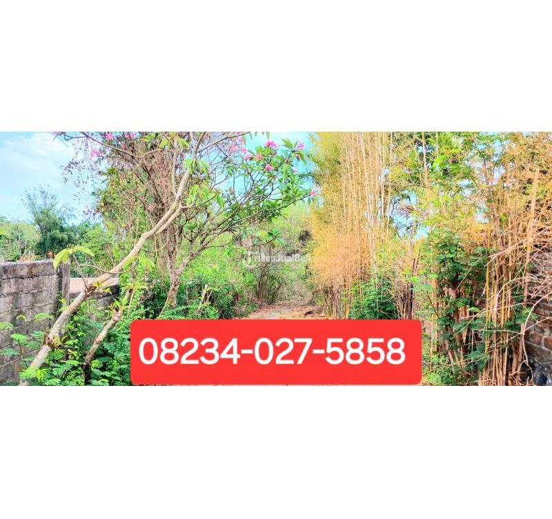 Dijual Tanah 8000m2 Bonus Bangunan Area Mumbul Nusa Dua Kuta Selatan Bali - Badung
