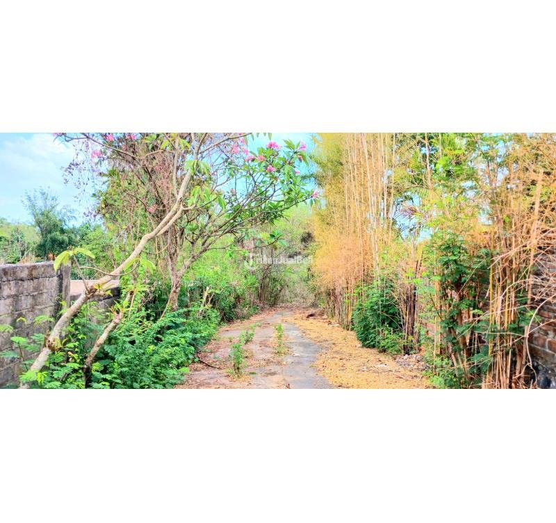 Dijual Tanah 8000m2 Bonus Bangunan Area Mumbul Nusa Dua Kuta Selatan Bali - Badung