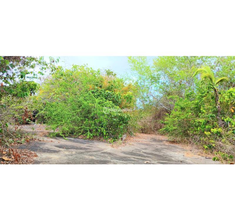 Dijual Tanah 8000m2 Bonus Bangunan Area Mumbul Nusa Dua Kuta Selatan Bali - Badung