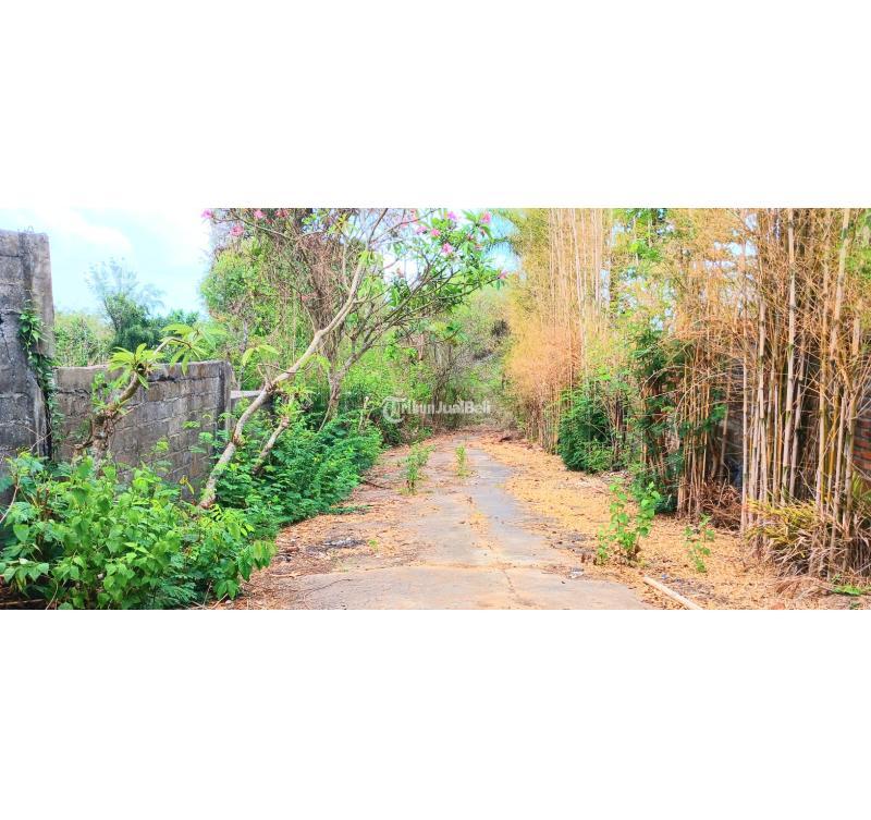 Dijual Tanah 8000m2 Bonus Bangunan Area Mumbul Nusa Dua Kuta Selatan Bali - Badung