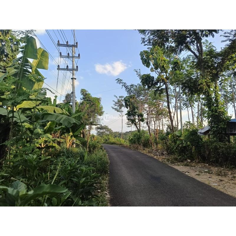 Jual Tanah Murah Luas 2.585 m2 di Trawas, 0 Jalan Aspal - Mojokerto