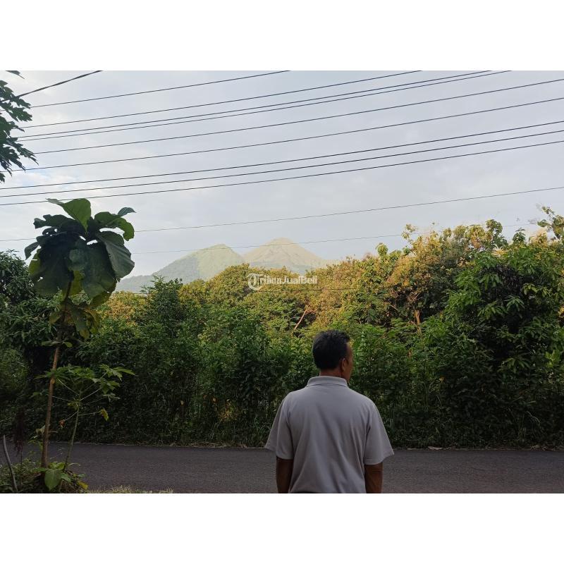 Jual Tanah Murah Luas 2.585 m2 di Trawas, 0 Jalan Aspal - Mojokerto