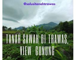 Jual Tanah Sawah Luas 2.116 m2 di Trawas, View Gunung, Cocok untuk Investasi atau Hunian - Mojokerto