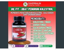 Obat Penurun Kolesterol Darah Tinggi Gula Darah Diabetes Trigliserida - Jakarta Utara