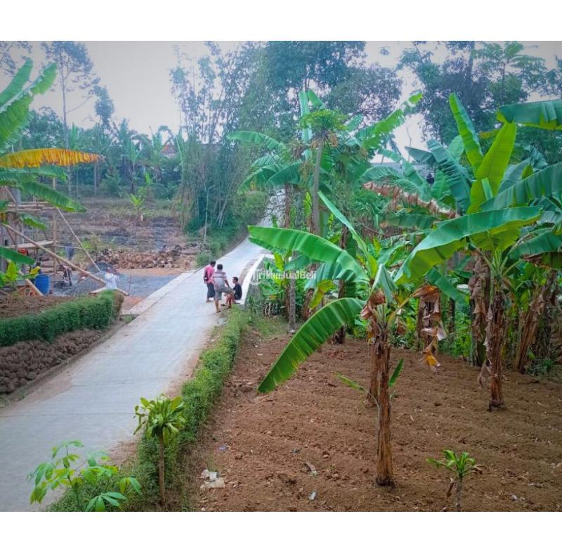 Dijual Tanah Pekarangan Luas 373m SHM Strategis Dekat Wisata, Selotapak Trawas - Mojokerto