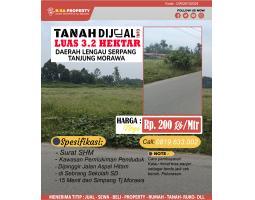 Tanah Dijual Di Daerah Lengau Seprang Tanjung Morawa Total Luas 3.2 Hektar Harga - Deli Serdang