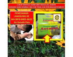 Supplier Obat Asam Urat Manjur Palu Antanan Viral - Palu