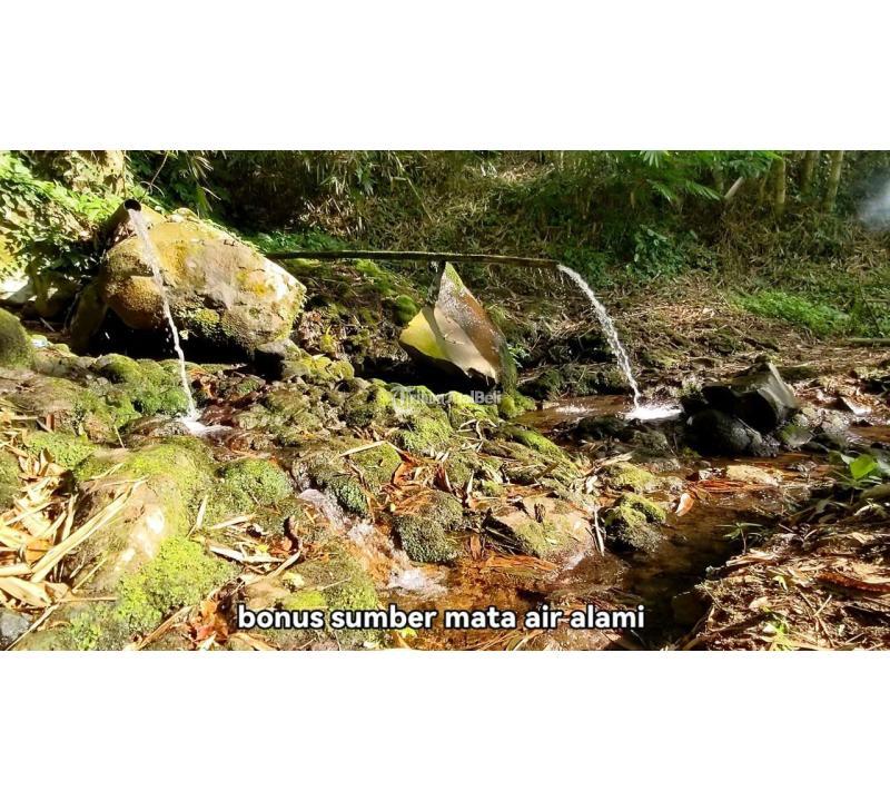 Dijual Tanah Ada Mata Air Area Pupuan Tabanan Bali SHM - Tabanan