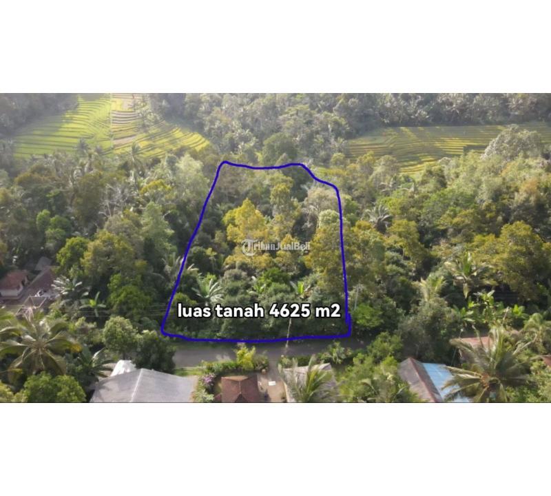 Dijual Tanah Ada Mata Air Area Pupuan Tabanan Bali SHM - Tabanan
