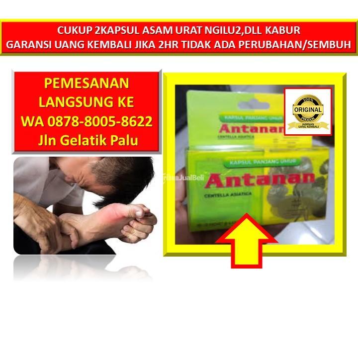 Supplier Obat Asam Urat Pada Lutut - Palu 