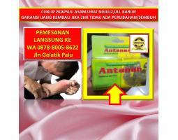 Supplier Obat Asam Urat Tangan - Palu 