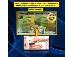 Supplier Obat Asam Urat Menurut Dokter - Palu 