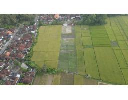 Dijual Tanah Datar, LT. 3450m2, Hadap Selatan, SHM, View Sawah, Dekat Pantai Kelating - Bali