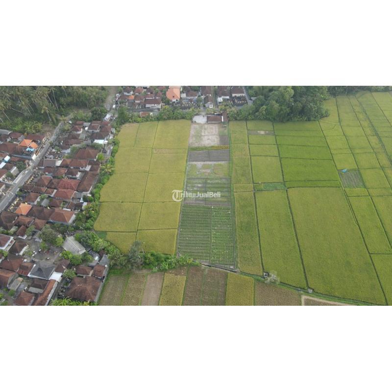 Dijual Tanah Datar, LT. 3450m2, Hadap Selatan, SHM, View Sawah, Dekat Pantai Kelating - Bali