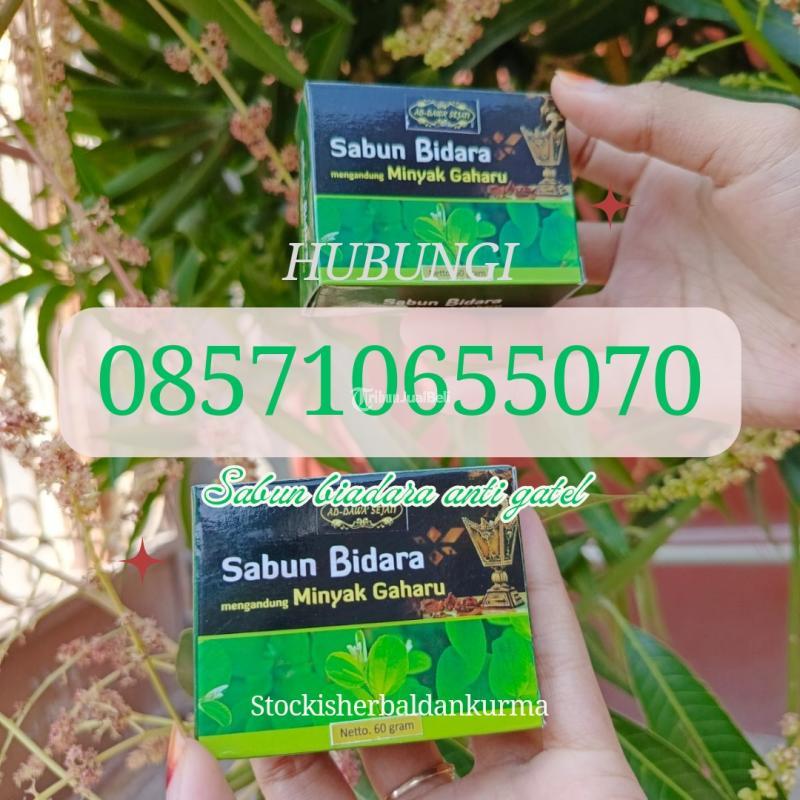 Sabun Bidara Anti Gatal - Bantul