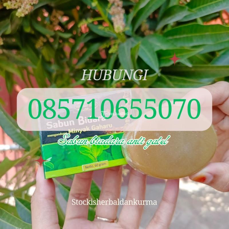 Sabun Bidara Anti Gatal - Bantul