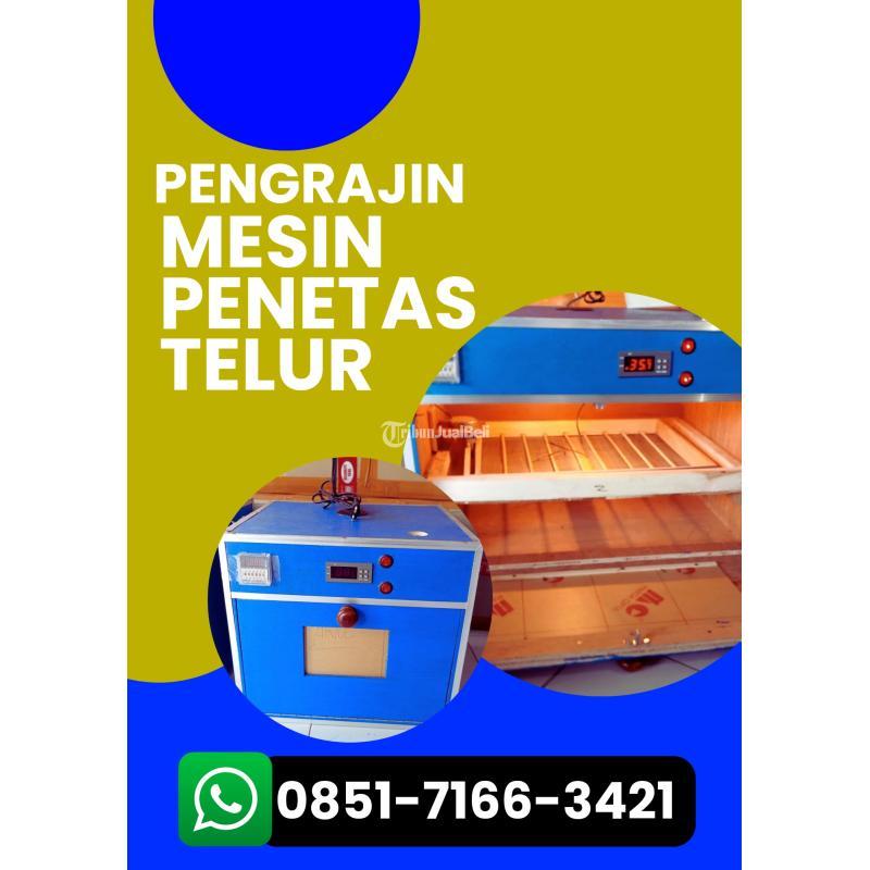 Alat Penetas Telur Burung Murai Batu Siap Kirim - Pasuruan