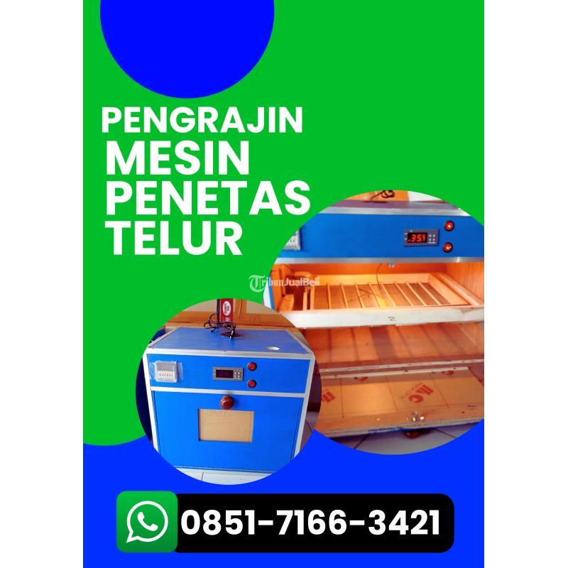  Alat Penetas Telur Burung Perkutut Siap Kirim - Pasuruan Kota