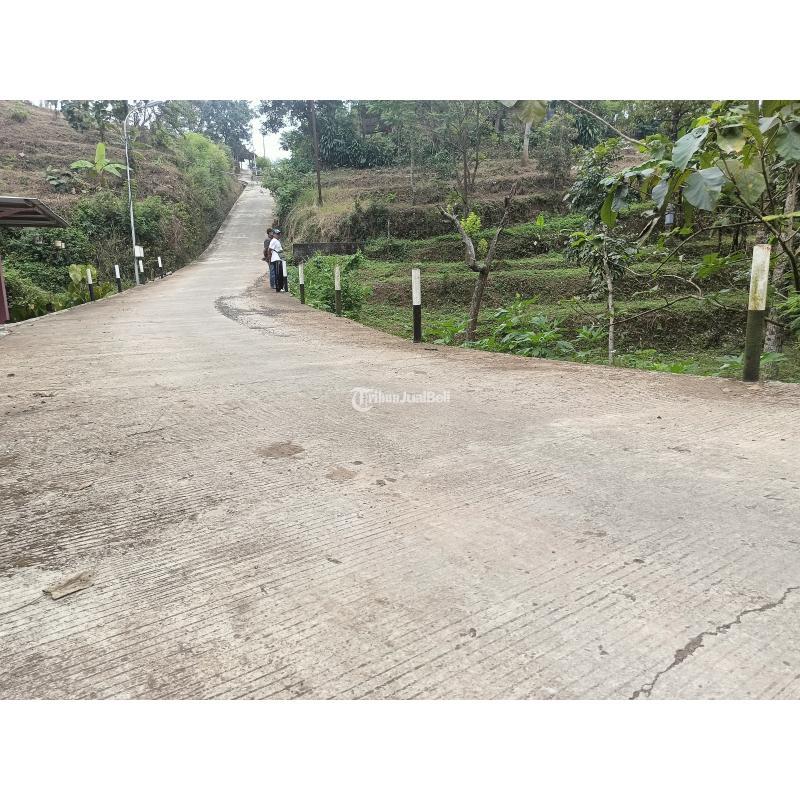 Dijual Tanah Luas 4600m dengan Kebun Durian di Trawas, 200 Meter dari Jalan Raya - Mojokerto 