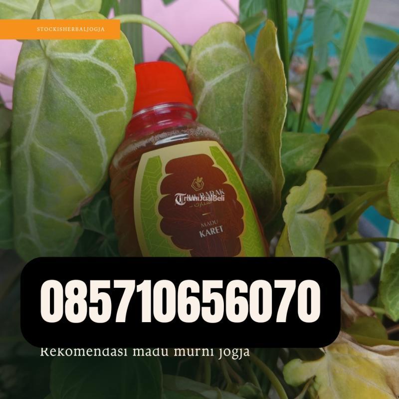Madu Murni di Jogja - Bantul