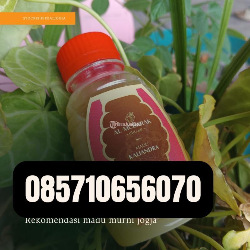 Madu Murni di Jogja - Bantul