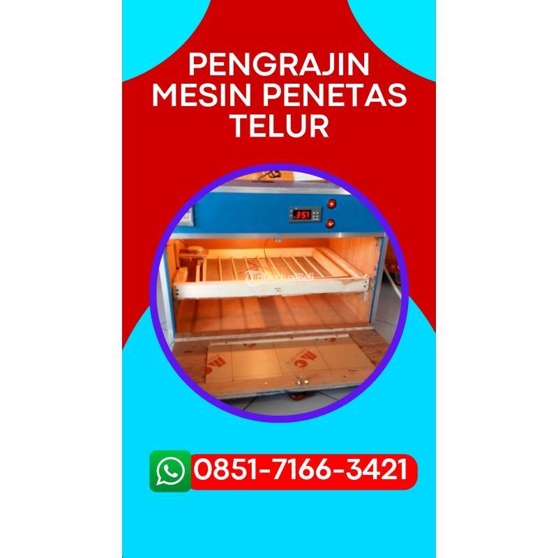 Mesin Penetas Telur Otomatis Kapasitas 50 Siap Kirim  - Pasuruan Kota