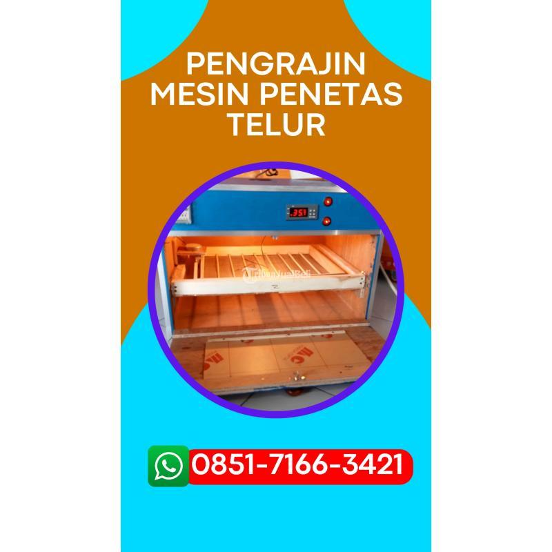 Mesin Penetas Telur Otomatis Terbaik Siap Kirim - Pasuruan Kota