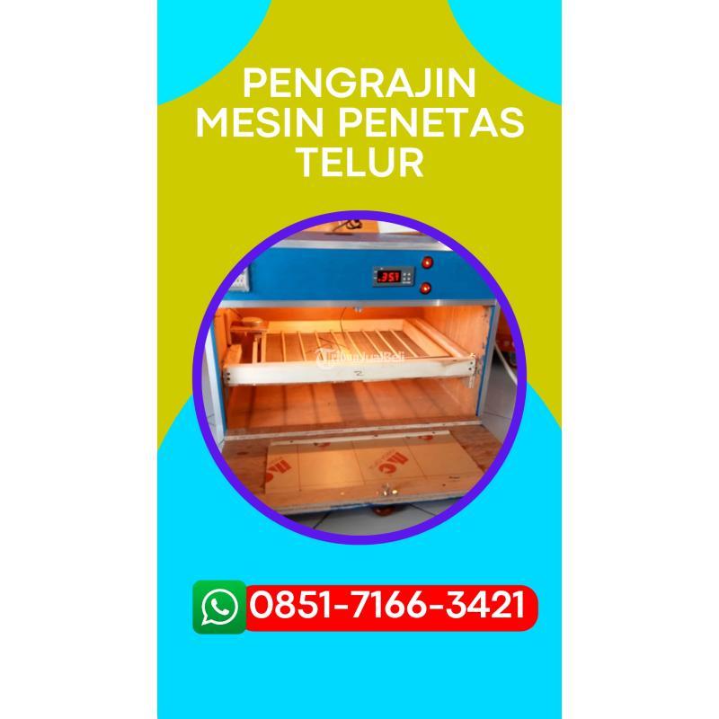 Mesin Penetas Telur Paling Murah - Pasuruan Kota