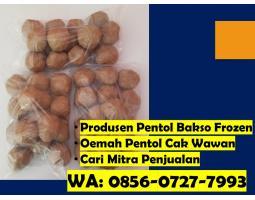 Buka Agen Reseller Supplier Pentol Bakso Frozen Food Yang Enak - Gresik