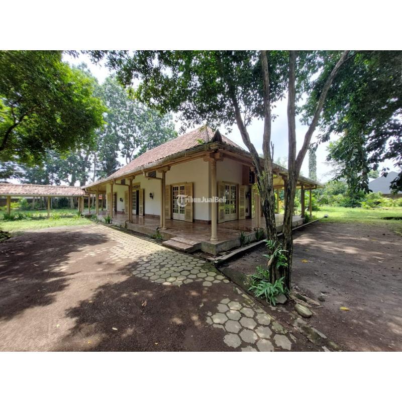 Dijual Tanah Luas 4820m SHM Bonus Rumah di Pogung - Sleman