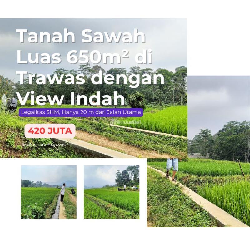 Dijual Tanah Sawah Luas 650m di Trawas dengan View Indah, Legalitas SHM - Mojokerto