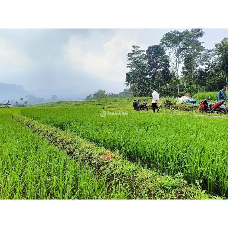 Dijual Tanah Sawah Luas 650m di Trawas dengan View Indah, Legalitas SHM - Mojokerto