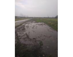 Dijual Tanah Sawah, Luas 2.640m2, SHM, Daerah Irian Jaya Gadingrejo, Pasuruan - Jawa Timur