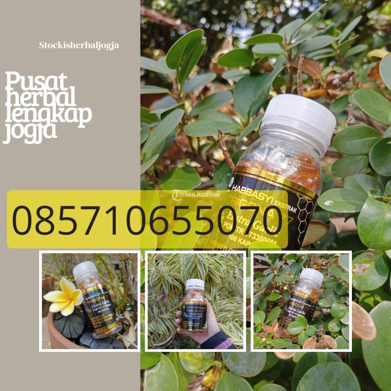 Pusat Herbal Lengkap Jogja - Bantul