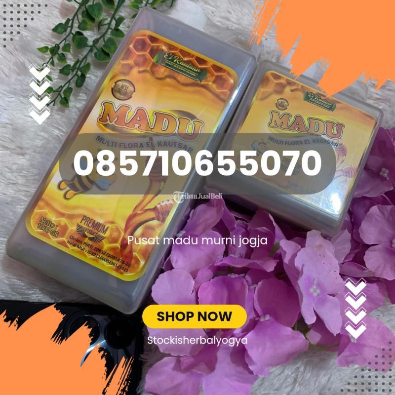 Pusat Madu Murni Jogja - Bantul