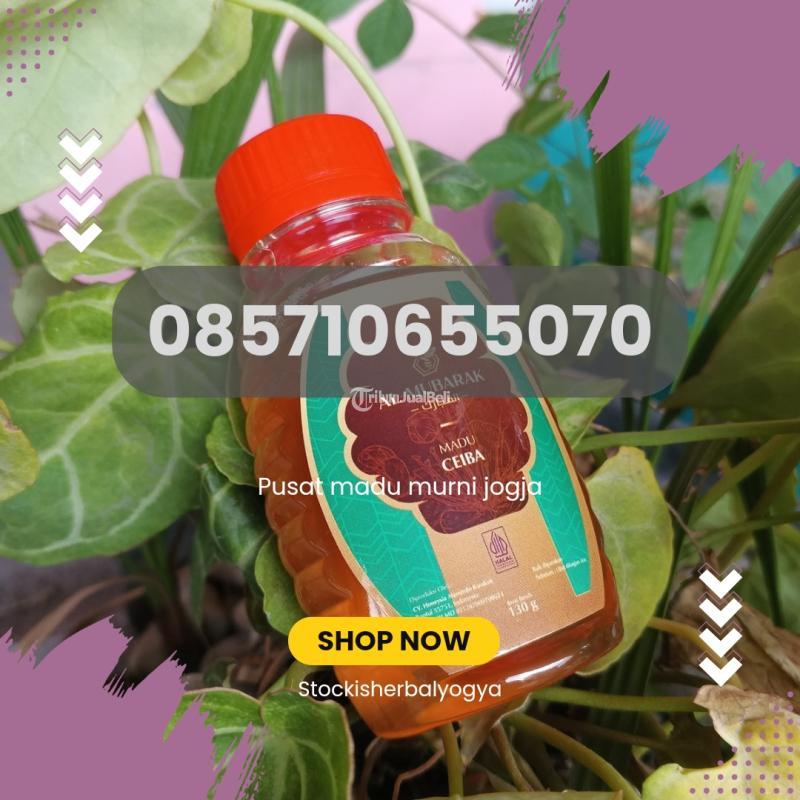 Pusat Madu Murni Jogja - Bantul