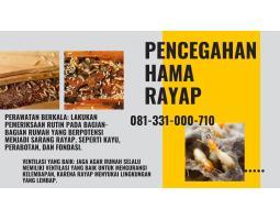 Anti Rayap Mijen Kualitas Terbaik - Semarang