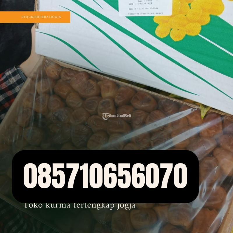 Toko Kurma Terlengkap Jogja - Bantul