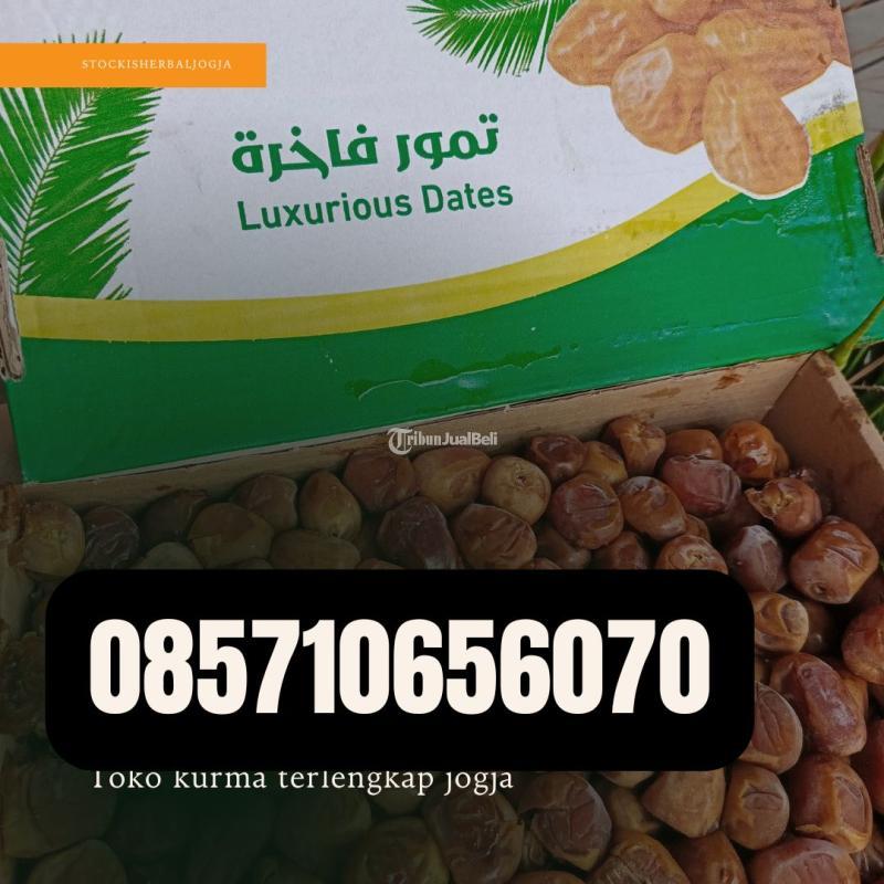 Toko Kurma Terlengkap Jogja - Bantul