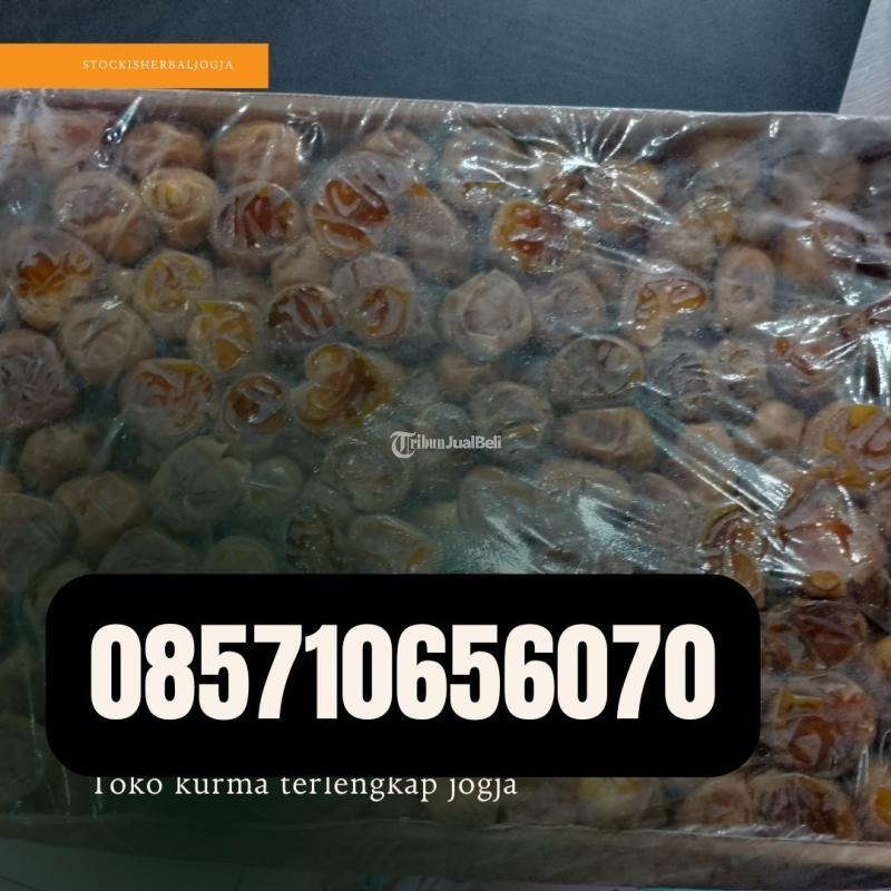 Toko Kurma Terlengkap Jogja - Bantul
