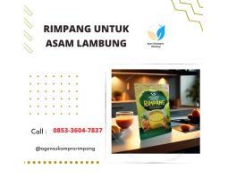 Jual Susu Kambing Probiotik, Kaya Akan Nutrisi Esensial, Sangat Bagus Untuk Kesehatan - Surabaya