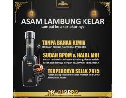 M Biopro Herbal Ampuh Obat Adam Lambung Alami - Mojokerto 