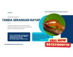 Sterilisasi Rayap Sistem Pipanisasi Injeksi Bergaransi Kec.jambu - Semarang